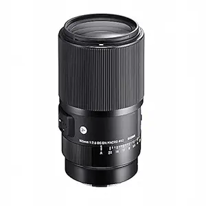 Sigma 105mm F2.8 DG DN Macro Art (Sony E-Mount), Black (260965)