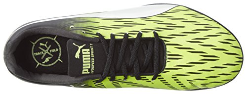 puma evospeed 7