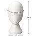 LuckyFine Female Styrofoam Foam Head Model Mannequin Manikin Hair Hat Stand Holder Display