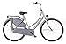 Produktbild 28" 28 ZOLL DAMEN FAHRRAD HOLLAND CITY FAHRRAD RAD HOLLANDRAD DAMENFAHRRAD CITYRAD DAMENRAD ROMA GRAU