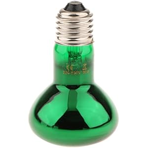 Sharplace Infrarot Glas Dunkelstrahler Wärmelampe E27 Glühbirne für Reptil Grübler Inkubator - Grün - Grün, 60W