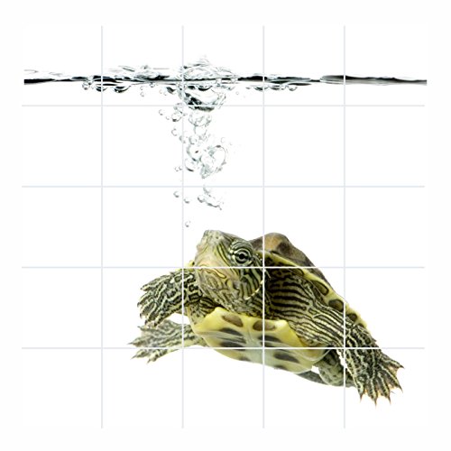 FoLIESEN Fliesenaufkleber für Bad und Küche - Fliesenposter Wasserschildkröte - Fliesengröße 15x15 cm - Fliesenbild 30x30 cm