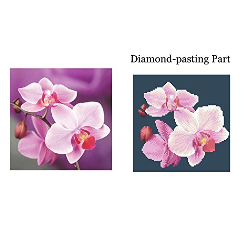 DIY 5D Phalaenopsis Diamond Painting Cross-Stitch for Entrance Living Room Bedroom - 9