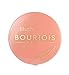 Bourjois Little Round Pot Blusher Rose Coup De Fourde