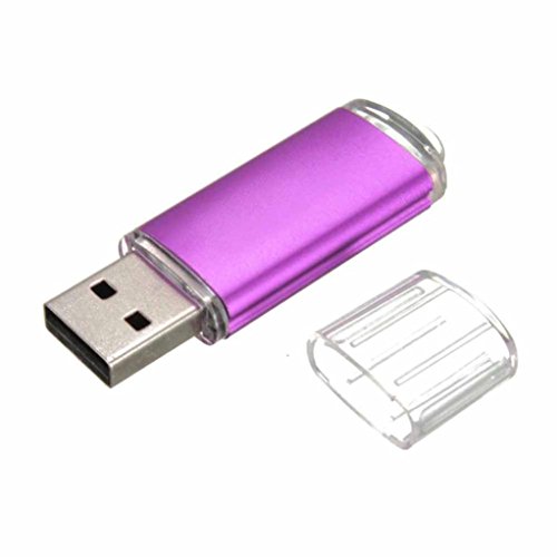 FEITONG 1GB USB 2.0 Metall Flash Memory Stick Speicher Thumb U Festplatte (Lila)