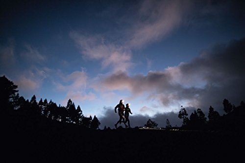 Led Lenser Stirnlampe LED - 10