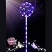 Produktbild TAOtTAO LED-Leuchtlaternenballon mit Röhrenglühballon Wiederverwendbare leuchtende geführte Ballon-transparente runde Blasen-Dekorations-Party-Hochzeit (C, 1 pcs)