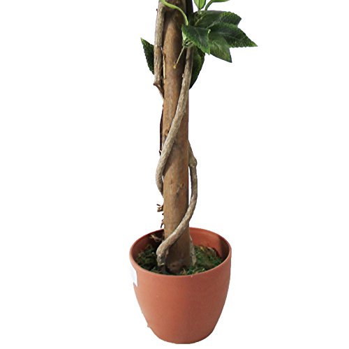 Hochwertige Kunstpflanzen in Kunststoff Topf für Wohnzimmer Büro Küche oder Bad Dekopflanzen Groß Kunstbaum XL mit Blätter Dekoration Zimmer (Var-1 120cm) - 4