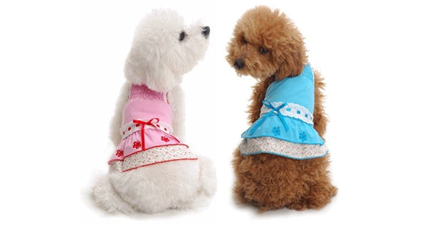 dobaz dog clothes