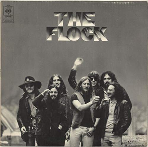 Preisvergleich Produktbild The Flock - Front Laminated - EX