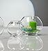 Produktbild Glasvase Globe klar rund 9,5 cm Ø 12 cm von Sandra Rich