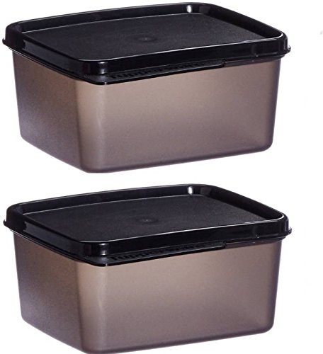 Tupperware Xtrim Plastic Lunch Box with 2 Containers (Multicolour, 500ml)