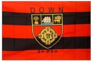OFFICIAL DOWN GAA COUNTY FLAG LARGE 152cm x91cm LIMITED STOCK