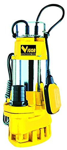 Vigor VE750 SUB Elettropompa in Inox/Ghisa per Acque Luride, 2 Pollici F