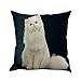 Produktbild DOGZI Kopfkissen, Kissen Ferkissen Schlafkissen - Haushalt Wohnen Heimtextilien Bettwaren Bettwäsche Katze Platz Dekoration Auto Sofa Schlafzimmer Kissenbezug
