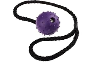 CLASSIC Pet Products Pimple Ball on a Rope, 50 mm, Purple