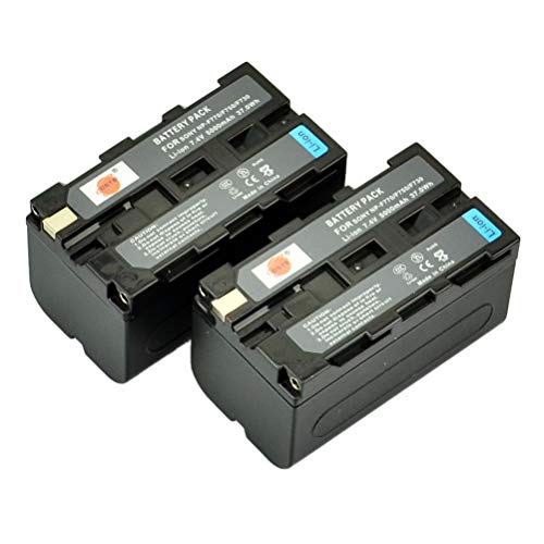 DSTE® 2x NP-F750 Li-ion Batería para Sony NP-F330, NP-F530, NP-F550, NP-F570 and Sony CCD-SC5, CCD-TRV80PK, DCR-TRV820, CCD-SC55, CCD-TRV81, DCR-TRV820K, CCD-SC65, CCD-TRV815, DCR-TRV9, CCD-TR3, CCD-TRV82, DCR-TRV900, CCD-TR3000, CCD-TRV85, DCR-VX200, CCD-TR3300, CCD-TRV86PK, DCR-VX2100, CCD-TR516, CCD-TRV87, DCR-VX2100E, CCD-TR555, CCD-TRV88, DCR-VX700, CCD-TR67, CCD-TRV90, DSC-D700, CCD-TR716, CCD-TRV91, DSR-PD170, CCD-TR76, CCD-TRV93, HDR-FX1, CCD-TR818, CCD-TRV95, HVR-Z1U etc...