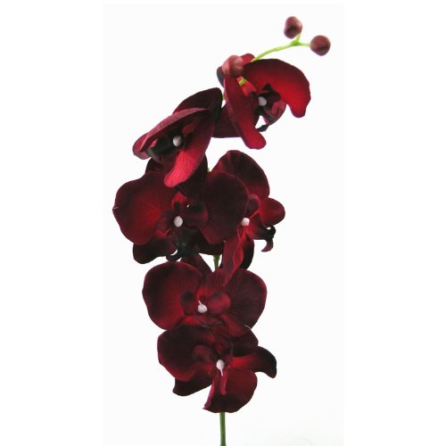 Kunstblume Orchideenzweig 78cm. Farbe BURGUND-03