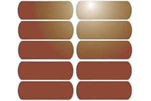MYGOODPRICE 10 Bandes adhésives réfléchissantes pour signalisation sur casque 6x2 cm Marron Réfléchissant