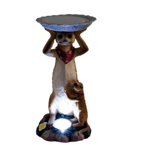 insatech LED Solarleuchte und Vogeltränke Erdmännchen Fritz - 3