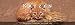 Literarischer Tischkalender Katzen 2015 by 