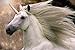 Produktbild Close Up Einhorn Poster Unicorn (91,5cm x 61cm) + Geschenkverpackung. Verschenkfertig!