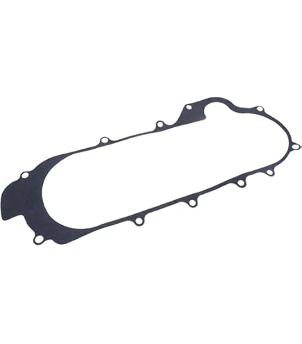 Variomatik Lüfter Rad für GY6 50cc 4-Takt Motoren 139QMA/B, 4,10