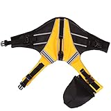 Schwimmhilfe für Hunde