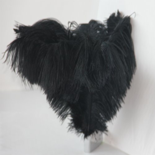 10 Schwarz Wirkliche Natürliche Straußenfedern 12-14 Zoll Länge für die Hochzeit