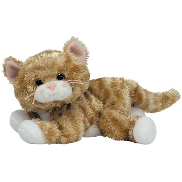 ty tabby cat