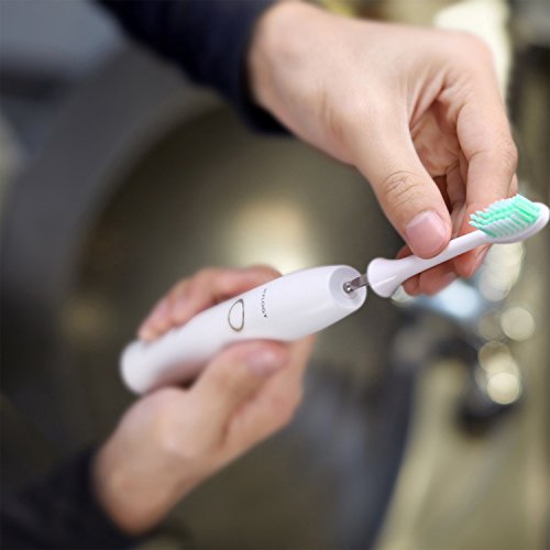 Cepillo de Dientes Eléctrico Hylogy 5 Modos de una Limpieza Diaria, Recargable Profesional con Temporizador Automático, Alta Calidad de Limpieza para la Salud Bucal, Incluyen 2 Cabezas de Cepillo de D