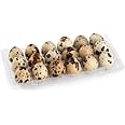DSPetSupplies Fresh Quail Eggs (18)