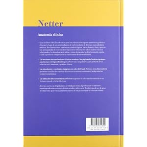 Netter. anatomia clinica