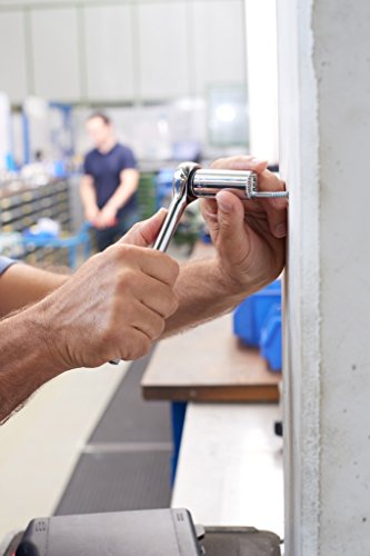 Gripper Steckschlüssel-Einsatz / lose verpackt / multifunktionelle Gripper / 4010995094003 / 3/8″ - 3