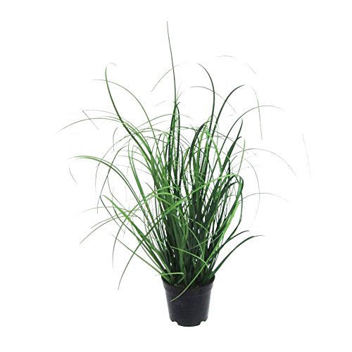 Kunstpflanze Gras, Dekogras. GRASBUSCH IM TOPF. Ca 40 cm. OHNE Übertopf.