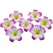 Produktbild 6CM Künstlich Frangipani Plumeria Hawaii Blumen Schaum Blumen für Hochzeit Party Dekoration Heißes Rosa