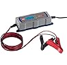 Caricabatteria da 6 V/12 V per auto e moto