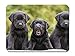Produktbild BGLKCS Black Labrador Retriver puppies Animal - #29791 - Mauspads Customized Rectangle Non-Slip Rubber Mousepad Gaming Mauspads 8.6x7.1 Inches