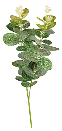 Rayher55798000 Artificial Eucalyptus Leaf Spray, Faux Greenery Stem for Wreath Making, Crafting and Home Décor, 34cm