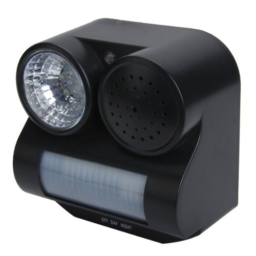 Migliori recensioni Dissuasori per piccioni ultrasuoni nel 2019