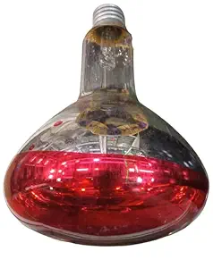 Screw Based Holder Red Infrared Lamp for Pain Relief, ( Red) Pack of Pcs. (150 w, 4)