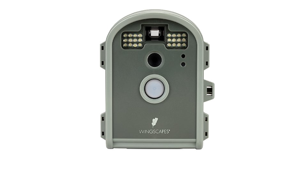 rspb camera