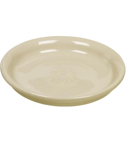 Ciotola Ovale Per Gatti Nobby In Ceramica - Design Anti-Baffi, Colore Crema/Beige, 17x11x2.5cm - Foto 6