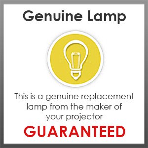 Preisvergleich Produktbild Panasonic ET-LAA310 Lampe