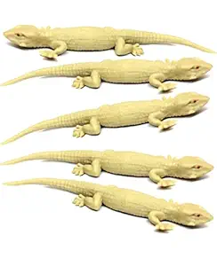 IMTION ( Chipkali 5 Pcs Real Looking ) Toys Fake Lizard House Gecko Rubber Practical Jokes and Prank Trick Toys, Set of 5