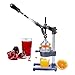 Produktbild Hand - SAFTPRESSE für Orangen, Granatapfel, Zitrusfrüchte, Edelstahlpresse, Juicer, CJ105.1 Original workingHOUSE