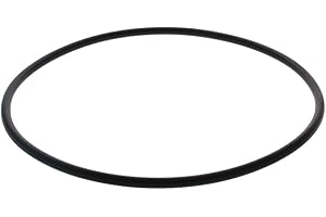 Othmro O-ring in gomma nitrilica 170 mm OD 160 mm ID 5 mm larghezza, guarnizione di tenuta metrica, confezione da 1