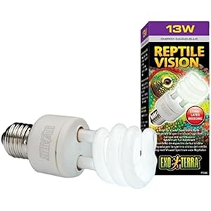 Exo Terra Vision 13W - mit sichtbarem Spektrum für Reptilien