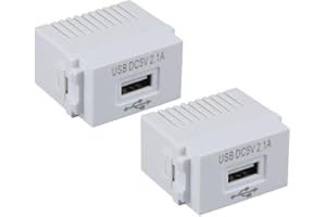 EasyByMall 1 módulo USB 220 V, transformador 5 V 2.1 A, panel carga teléfono, 0.9x1.4 pulgadas, teléfonos móviles, MP4 (2 unidades)