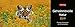 Geheimnisvolle Natur - Kalender 2019: Premium-Tischplaner mit 53 Fotografien by